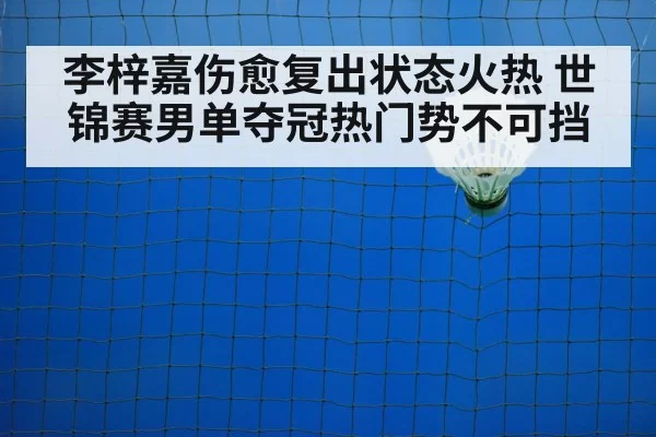 badminton net shot