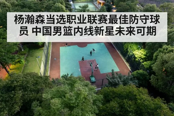 Chinese basketball player