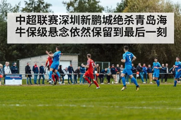 soccer match action